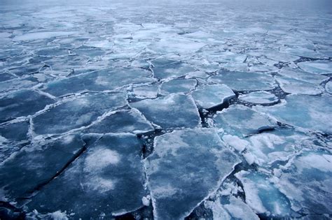 The Seattle Freeze - The Sociology Explained In Detail, and How To ...