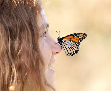 Great - Today kicks off Tremont’s Butterfly Education Program! Each