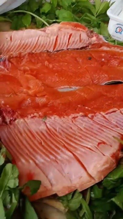 Красное Мясо Радужная Форель! - YouTube