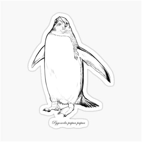"Gentoo Penguin Sketch" Sticker by Lobster14 | Redbubble