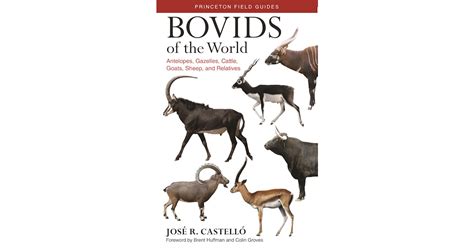 Bovids of the World | Princeton University Press