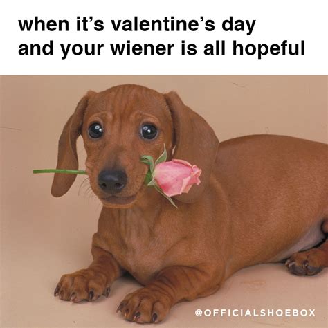 7 Flirty Memes For Her That Will Melt His Heart (Guaranteed!) Image 15