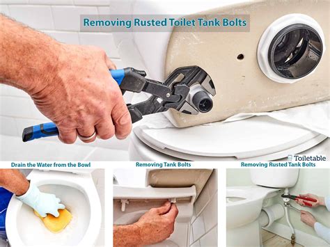 Removing Rusted Toilet Anchor Bolts at Eric Mullins blog
