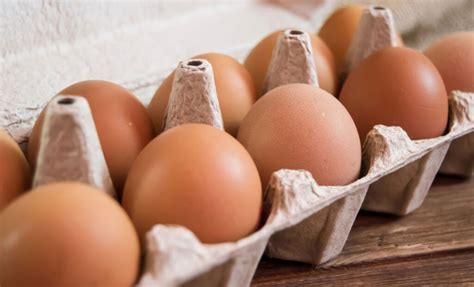 Organic Cage-Free Eggs: One of the Largest Egg Suppliers | Eggs Unlimited