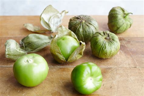 plant  grow tomatillo plants