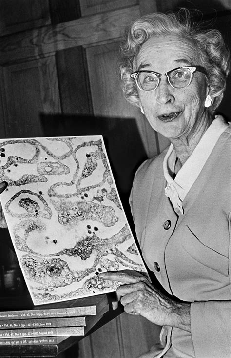 Sarah Elizabeth Stewart: la científica que desveló el rostro viral del