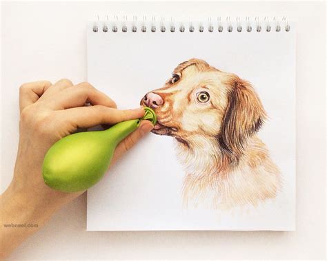 Interactive Illustration Dog Drawing Idea By Valerie Susik 10