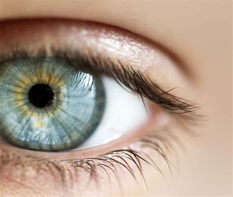 contact centre  eye health centre  eye health