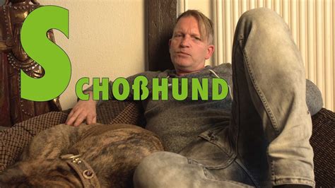 Hundetraining | Hundehalter - Lexikon: S wie Schoßhund - YouTube