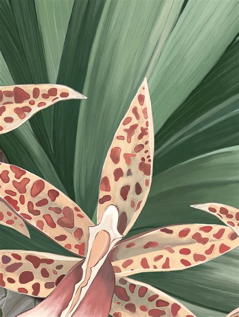 Орхидея :: Behance