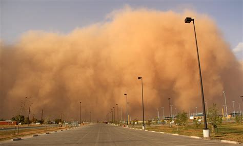 Illinois Dust Storm Disaster Is a Warning for Agriculture - Union of