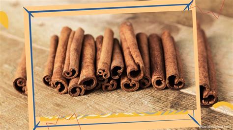 The Cinnamon Industry In Sri Lanka – Where The World’s Purest Cinnamon ...