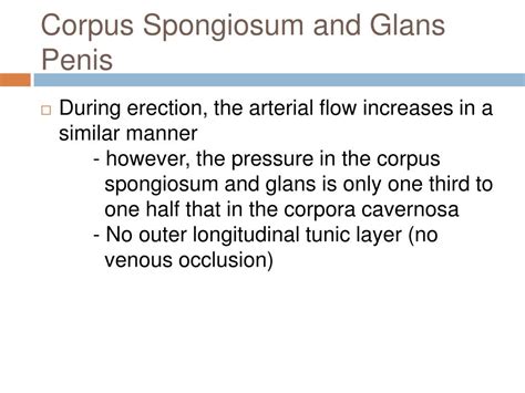 physiology  penile erection  pathophysiology  erectile