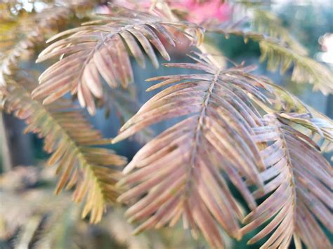 Surviving Winter Scientifically - Sweeney's Custom Landscaping Inc