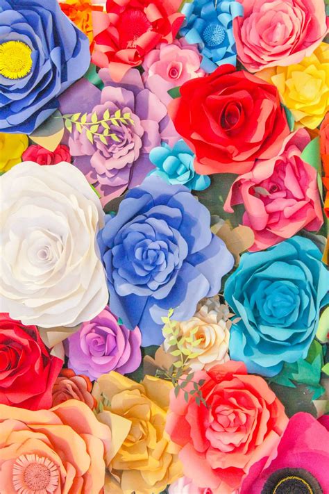 The Best Things to Do in North Park San Diego | Gennifer Rose