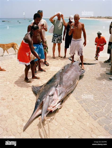 pontao de santa maria  res stock photography  images alamy