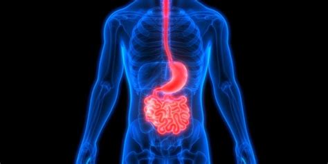 Need For Small Intestine Surgery