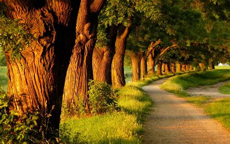 Relaxing Nature Wallpapers - Top Free Relaxing Nature Backgrounds ...