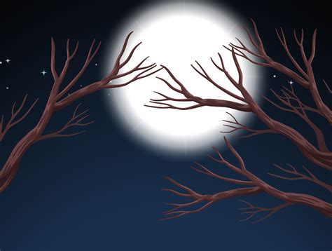full moon night scene  vector art  vecteezy