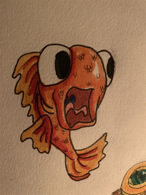 is it normal fish scared step by step 1