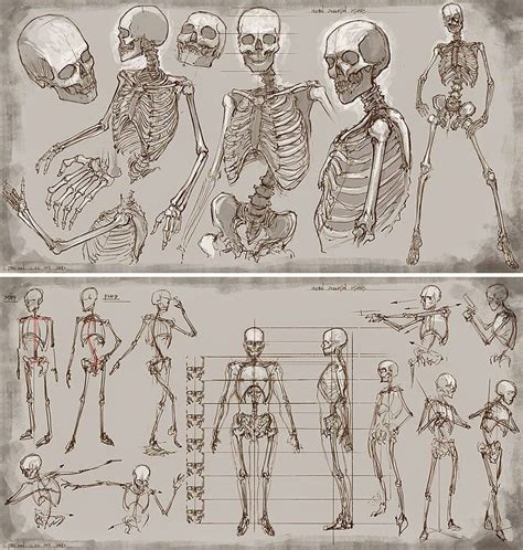 Daily Visual Arts Feed: Great Bulk of Anatomy for Artists Figure ...