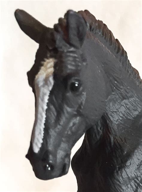 CollectA Shire Foal, Black – Triple Mountain Model Horses