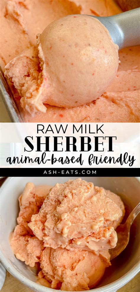 Raw Milk Sherbet (Animal-Based Friendly) - Ash Eats