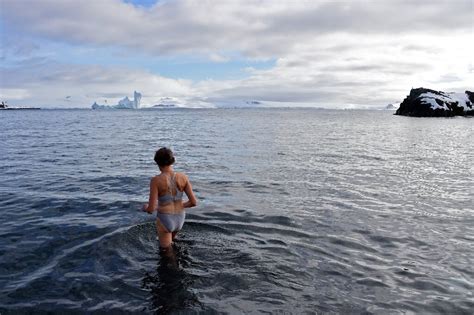 In Antarctica, tourists swim among penguins