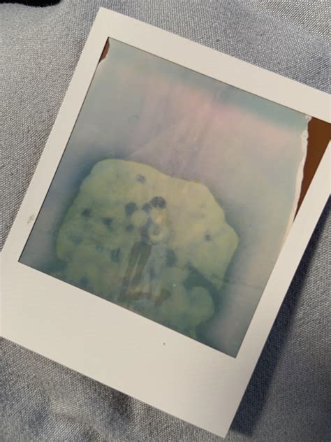 The One Polaroid That Could Have Saved Samantha Koenig Image 18
