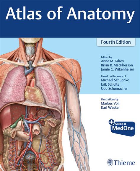 Atlas of Anatomy Fourth Edition 2020 - خرید کتاب پزشکی , فروشگاه کتاب