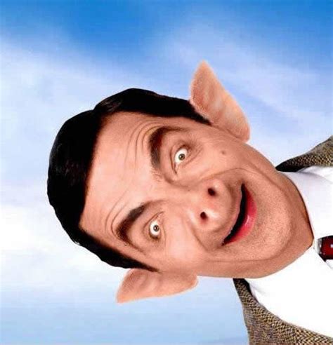 Bean funny - Mr. Bean Photo (14626948) - Fanpop