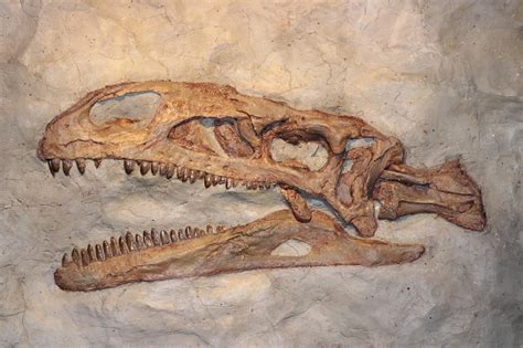 dino dinosaurus zaman purba foto gratis  pixabay pixabay