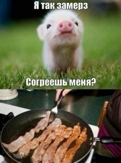 скачать шерлар - HAQIDA