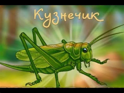 Какие насекомые бывают. Про насекомых для детей. Мир насекомых. Виды ...