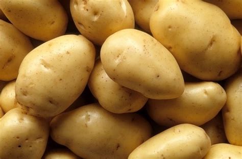 Irish Potato – TKD FARMS