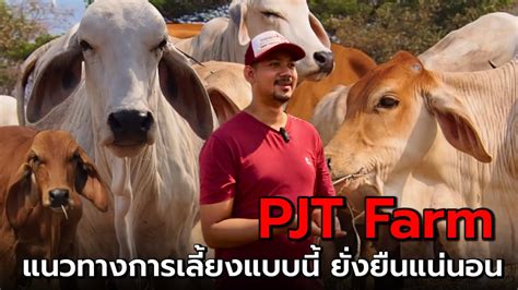 pjt farm