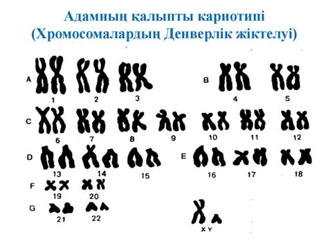 Хромосомалар - презентация онлайн