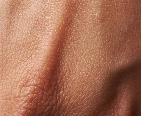9 Facts About Your Skin You May Not Know - Trio Healthcare