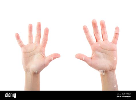 palms facing  cut  stock images pictures alamy