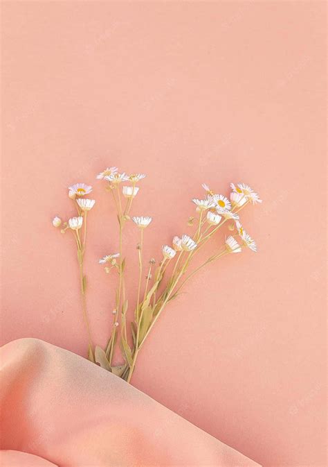Download Pink Aesthetic Background | Wallpapers.com