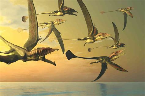 Sky Giants: How Many Types Of Flying Dinosaurs Are There?