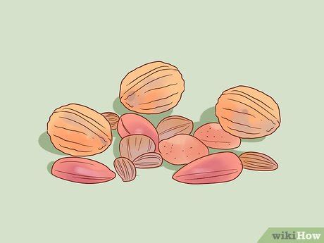 How to Hand Feed a Squirrel: 11 Steps (with Pictures) - wikiHow