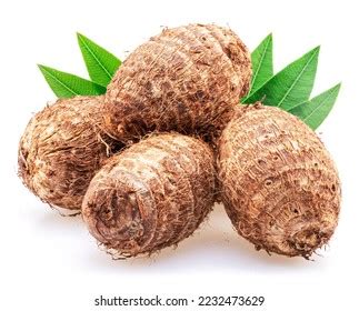 eddoe leaves images stock  vectors shutterstock