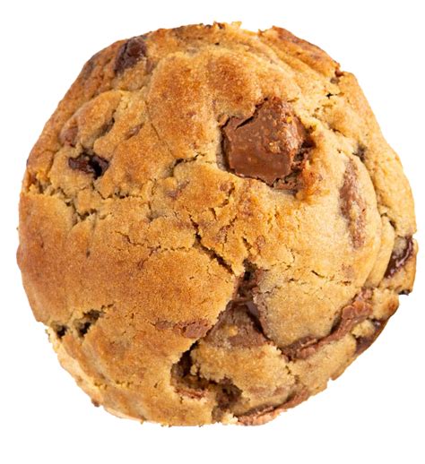 classic cookies chocodoh