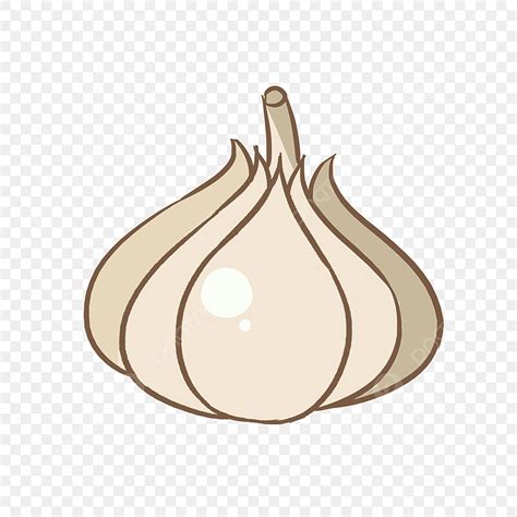 hand drawn vegetables png transparent hand drawn cartoon garlic