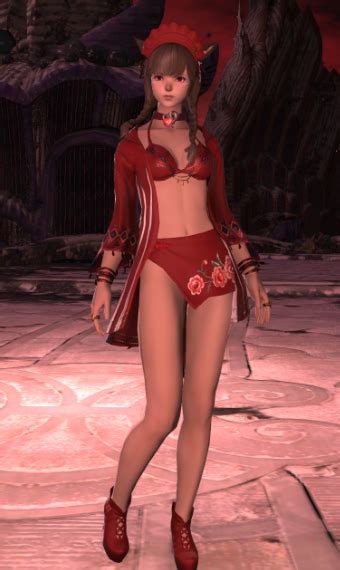 Dynamis of Destruction | Eorzea Collection
