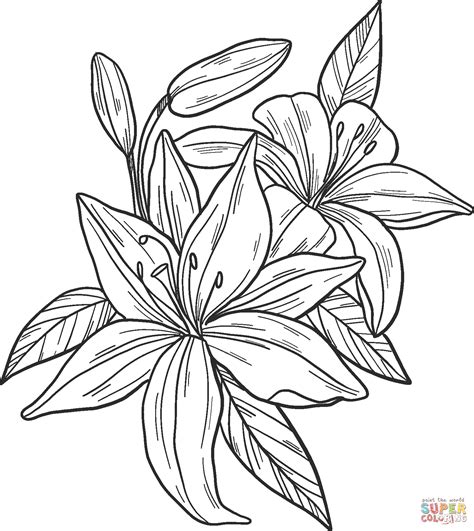 Dibujos Para Colorear De Lirios Para Adultos