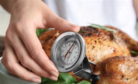 Where to Insert a Meat Thermometer in a Turkey - The Indoor Haven