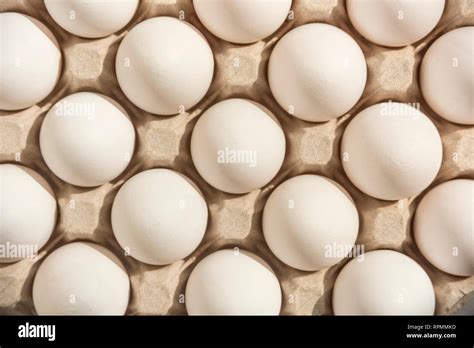 Many white eggs in egg carton Stock Photo - Alamy