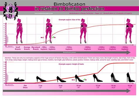 Bimbo training – “Basic bimbo rules: What is bimbofication? - Shaping ...